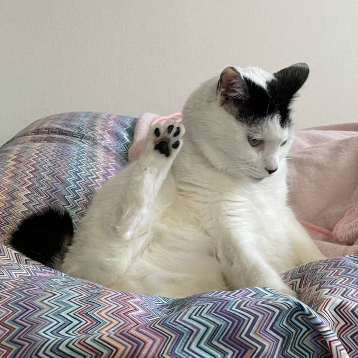 Df680ff4 9a95 49b1 a298 284df2a211e5 1609733079432