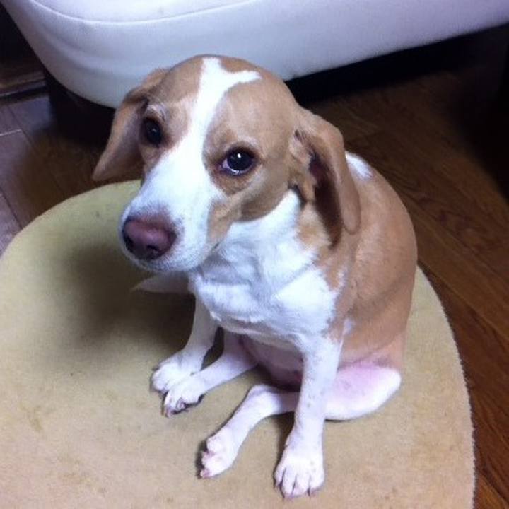 Df682284 5ab7 421d 8b1b 58d4cbe91687 1601354809203