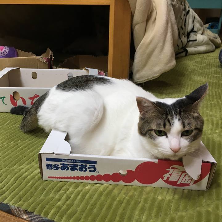 Df68259b f74b 4bcf b31c aafd095ab3cd 1546947147293