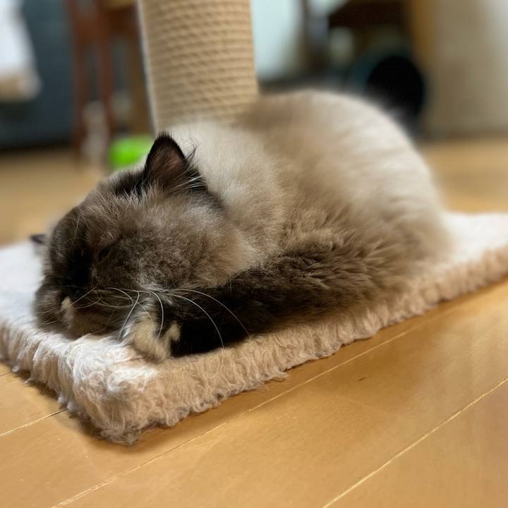 Df683385 c9a2 40d5 98cc c5fb1ed6d190 1663589965917