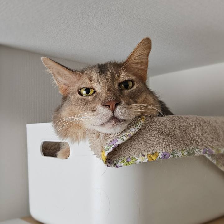 Df68a46e 5712 4156 8f2e c87dab312805 1771813181138