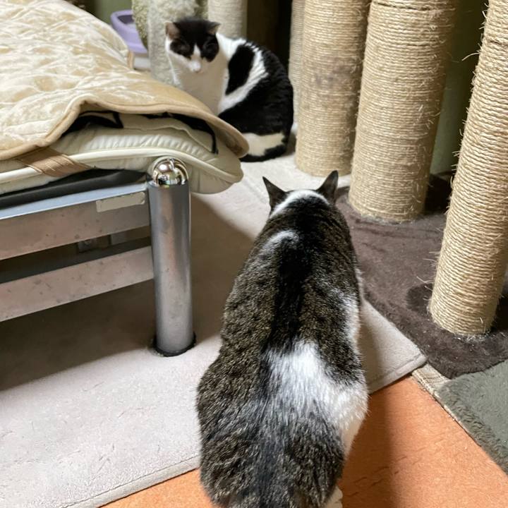 Df68a6ac 23de 4f07 90d7 843f393f3332 1641519718454