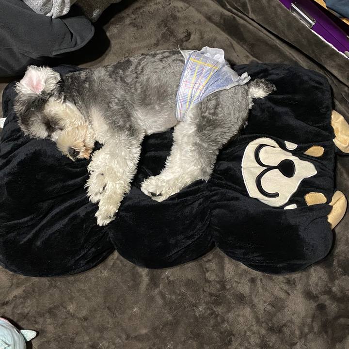 Df68b4b8 1457 45e1 ae54 27fc8bfbd1c5 1586106532429