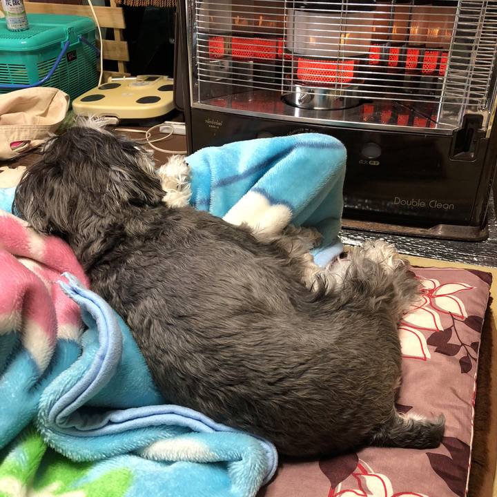 Df68e46b 1e78 47f7 96ab 14974be9213b 1515813698678