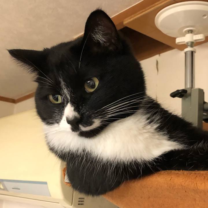 Df690acc 9875 4421 ac0c 2b8f56190f35 1584933604073