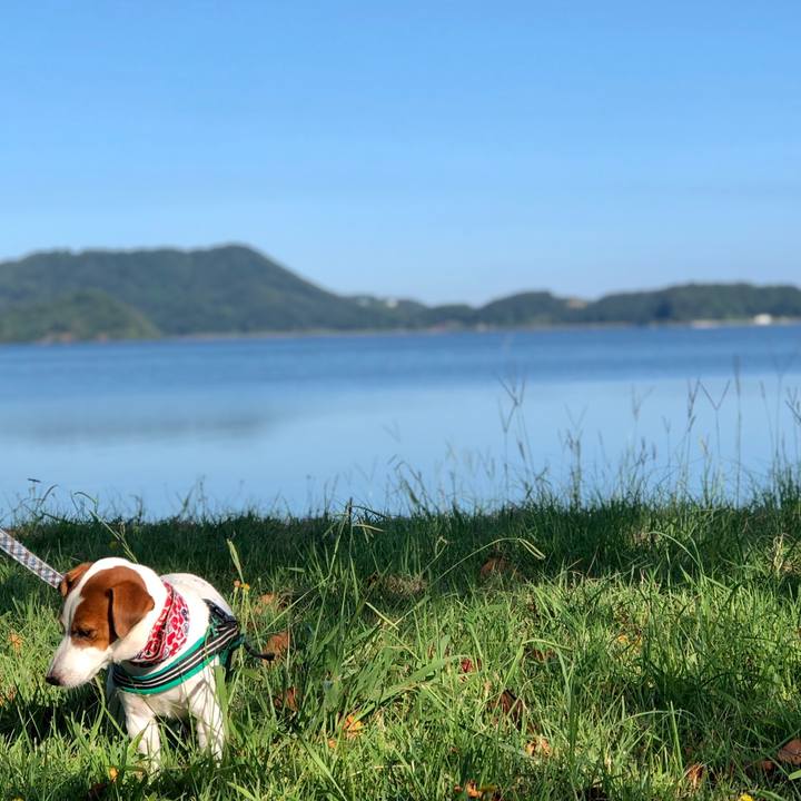 Df6926d4 d84e 4507 a69b c708001c7bbc 1599124926073