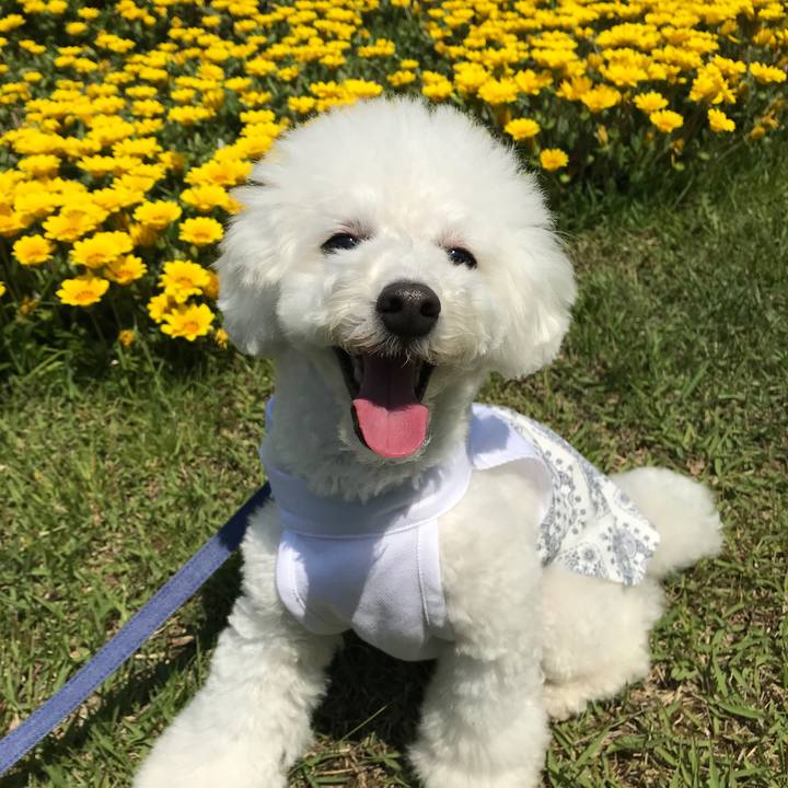 Df69766d c68b 4321 bb39 8dfaed0fac92 1525174677908