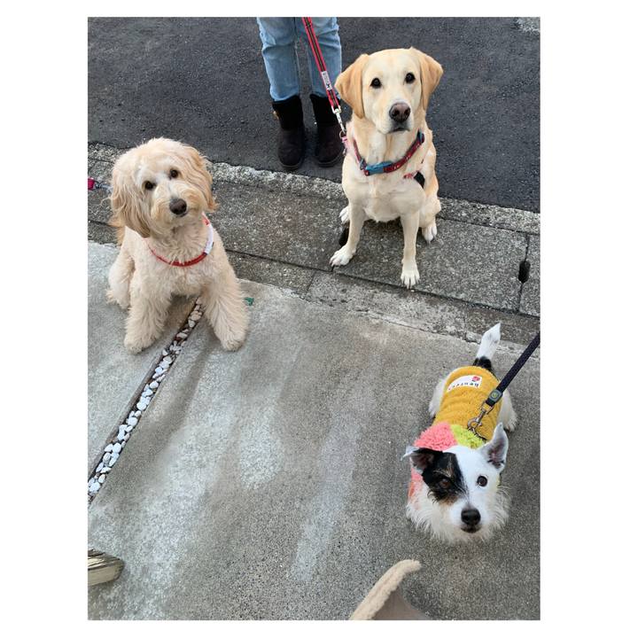 Df6976b6 d4a3 49fa 885e 56ca4455c170 1737530628605