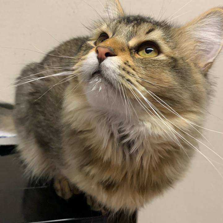 Df697fdf bdce 4c08 82a9 36f4fbb0fab6 1710196842445