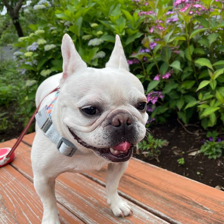 Df699a5a 2657 4668 896b 1415da3eee24 1748386209982