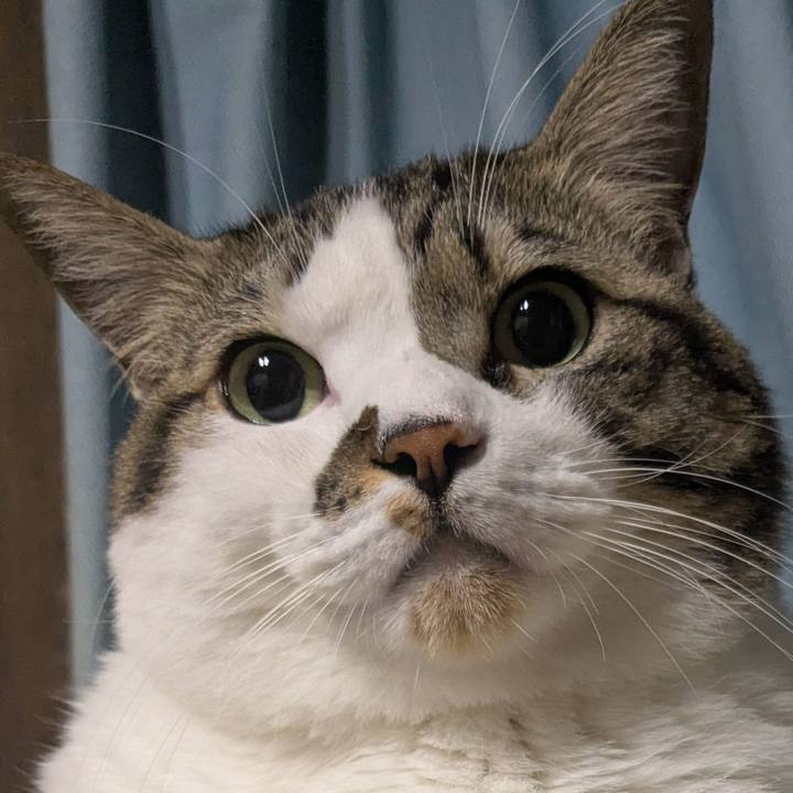 Df69a325 35f8 4c92 ac1e 0b87b11e1a10 1763216655683