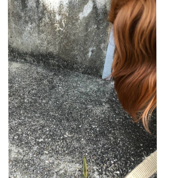 Df69a601 0681 4efa 81ee 79a8209abf79 1567853610514