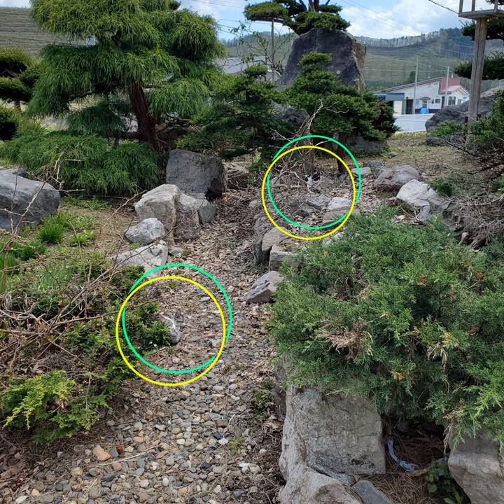 Df69b91b ddbe 40d7 a60b cc0427220e7b 1716516624925