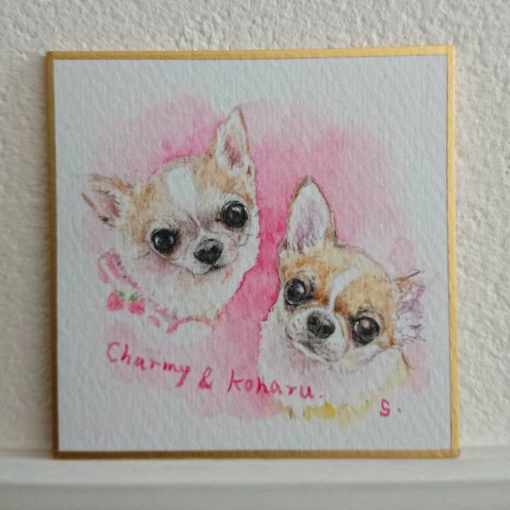 Df69cfcd 3ffe 4c8b 8655 f66bdc9459be 1585121151760