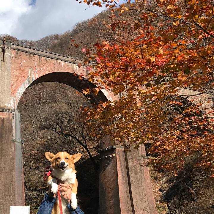 Df69e290 60b0 4d27 bb65 54ac7f9d15c7 1511078782675