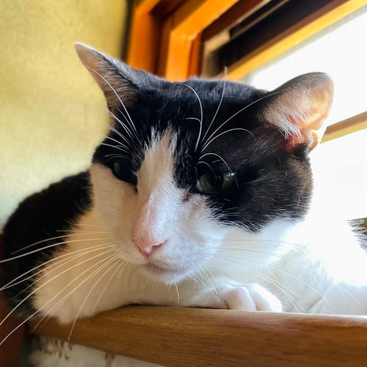 Df69e5d7 18a9 42fc bc60 25242bdfd339 1659404273252