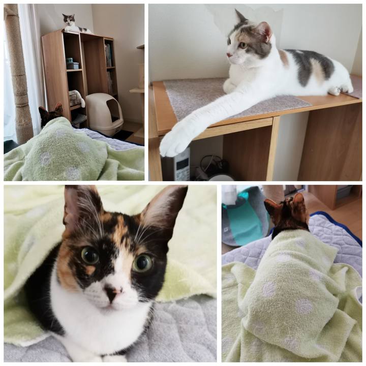 Df6a1b91 33e9 481f 940b 893c83fc1446 1624954237777