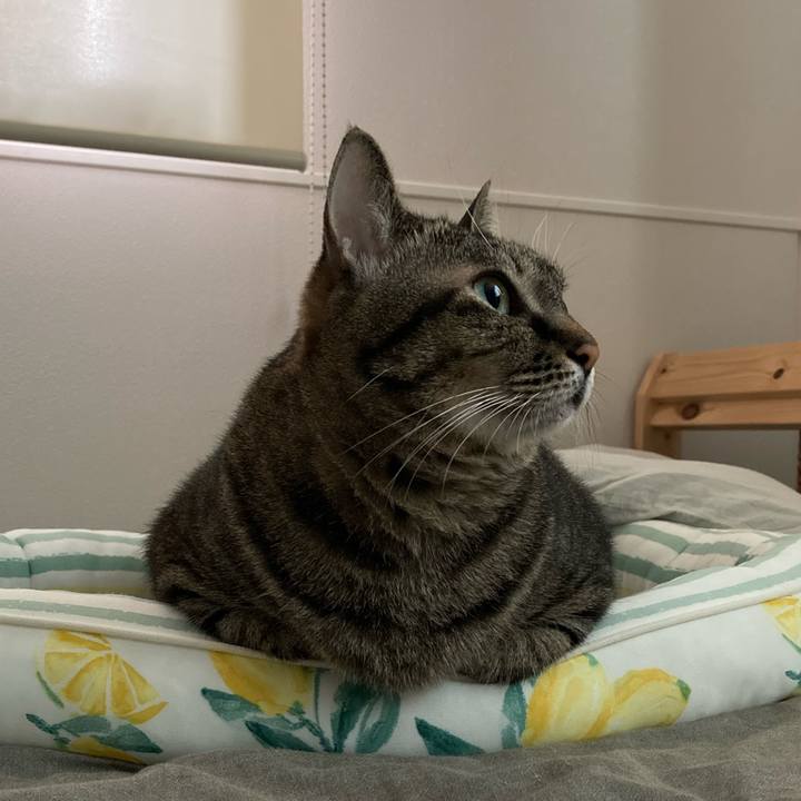 Df6a5acb efa4 43f9 90bd 5d4eaacf4d46 1666431460664