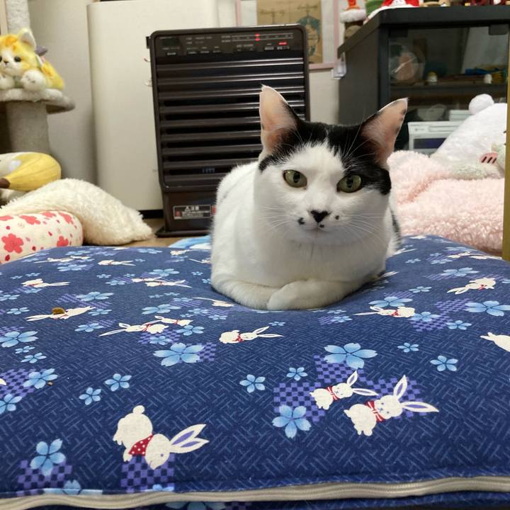 Df6a61e0 f476 4bd2 8fac f598bd07bd22 1764628892281