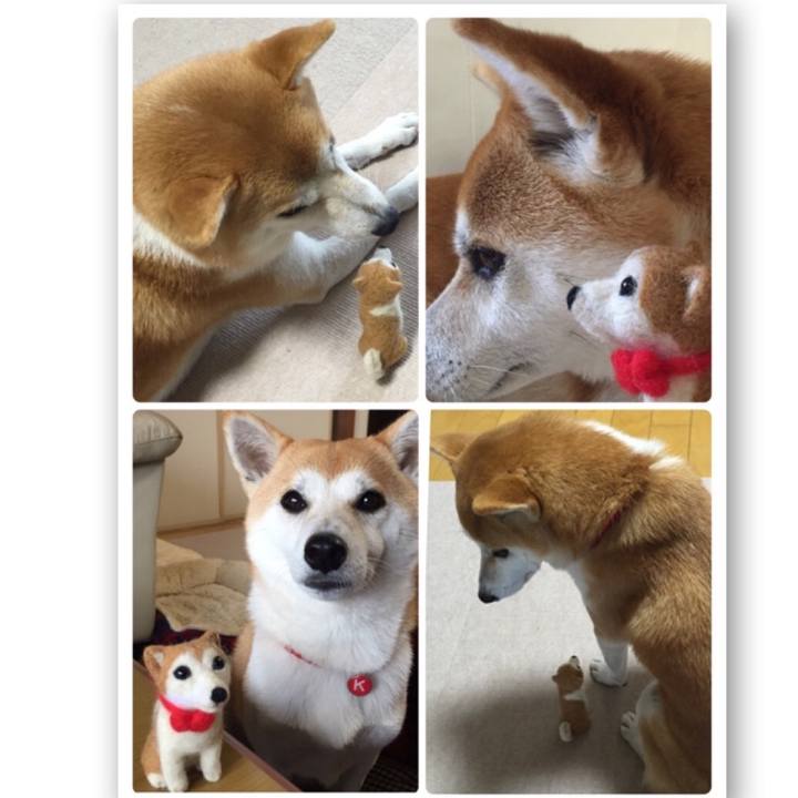 Df6a6d82 ac23 4ca5 a055 f68dcd561ae3 1508481976827