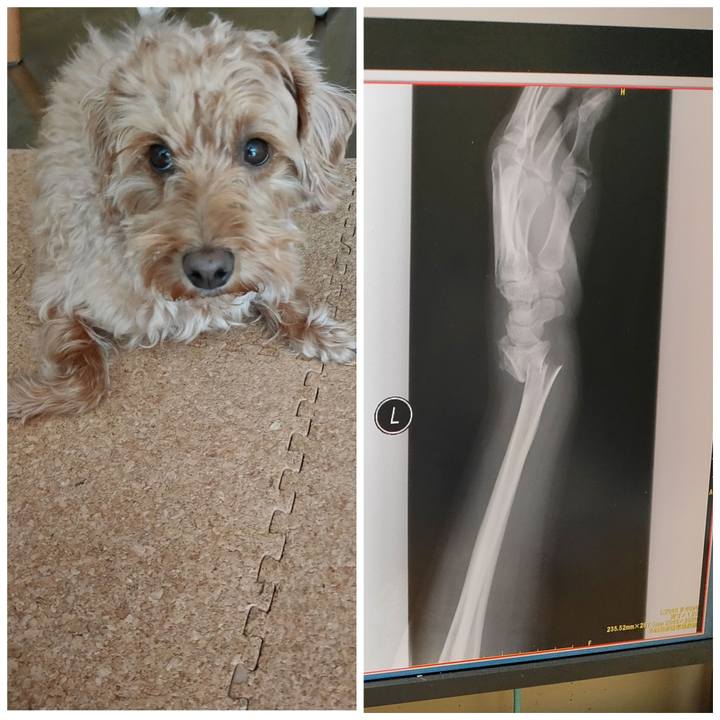 Df6a7a4b 984c 49f5 8ae0 019a219fdab9 1584244144053