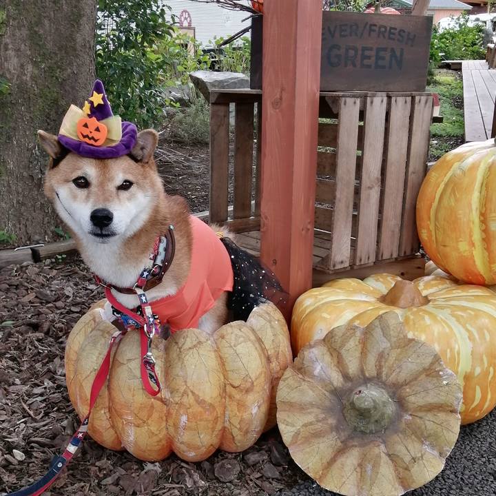 Df6af6e6 76c3 4998 bfd8 ca719b3fbb95 1663991097067