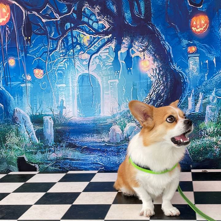 Df6af9cf 6432 407a 9194 cac0dd1c2e7a 1633861806290