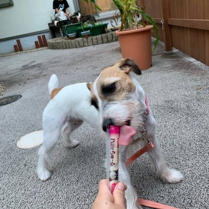 Df6b2b66 1f83 4d23 a6f7 1050c29e2252 1596881551885