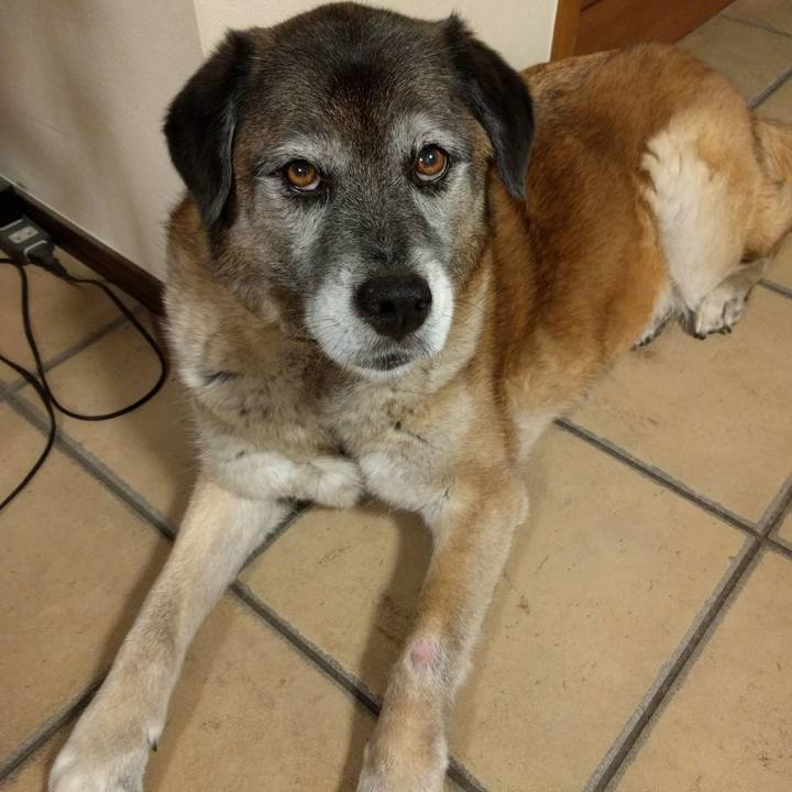 Df6b4f9f f01f 44d2 b27e 8c1fb55ebe3e 1528380546032