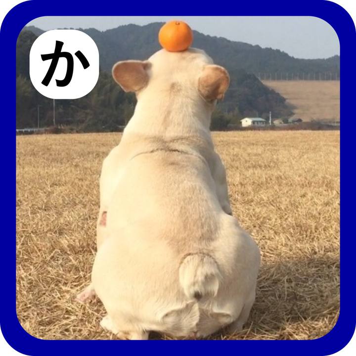 Df6b5168 5414 450f 9f2e c267c00ee486 1514838993212