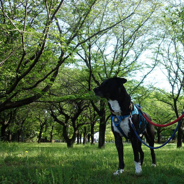 Df6b8892 b731 4453 b817 7ebd2e778443 1618706519062