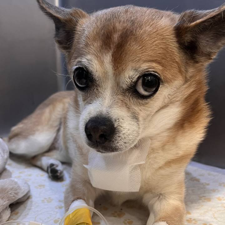 Df6b8e6e 6160 433f b3ea 08b8804c3b0c 1757816080064