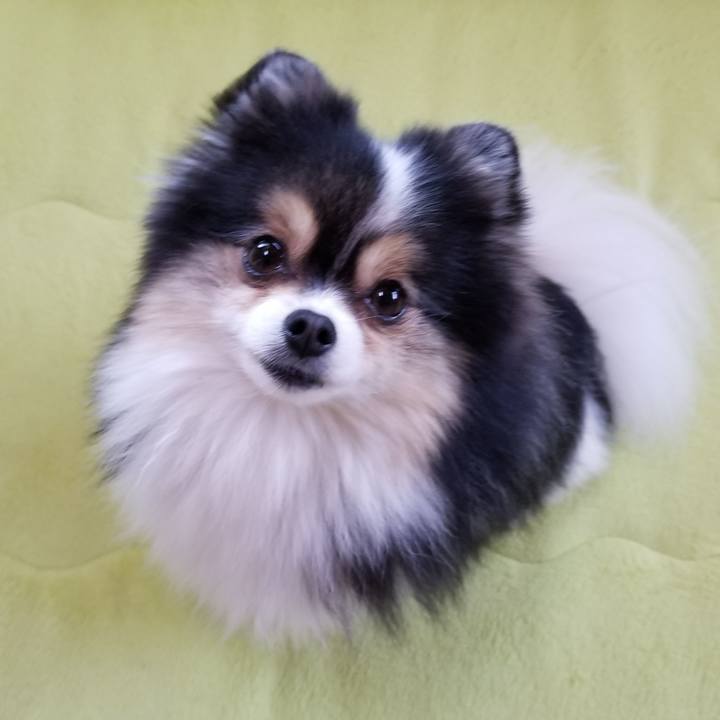 Df6b97ca cb7c 4a0e 881c 2f759cc45ce1 1558915584181