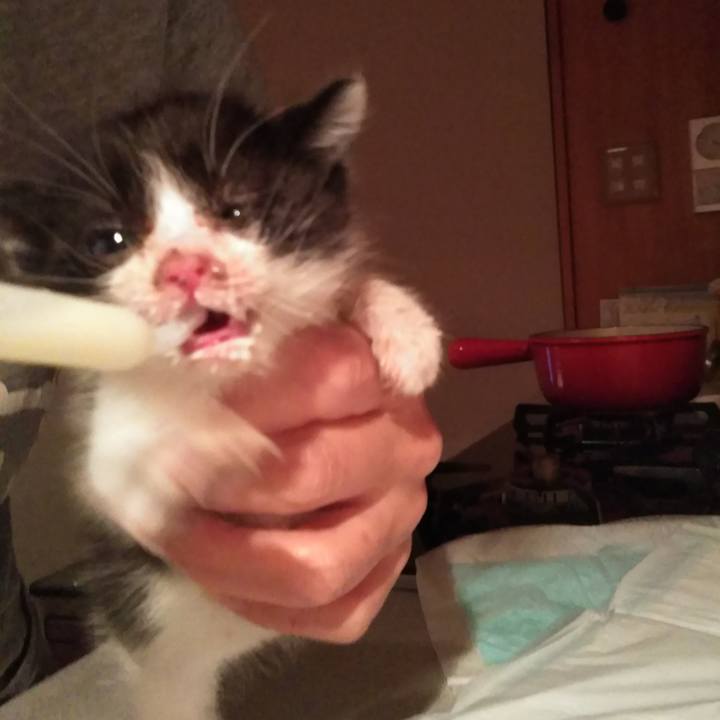 Df6be9bf eded 48b1 8c29 3124d1971a36 1570968235910