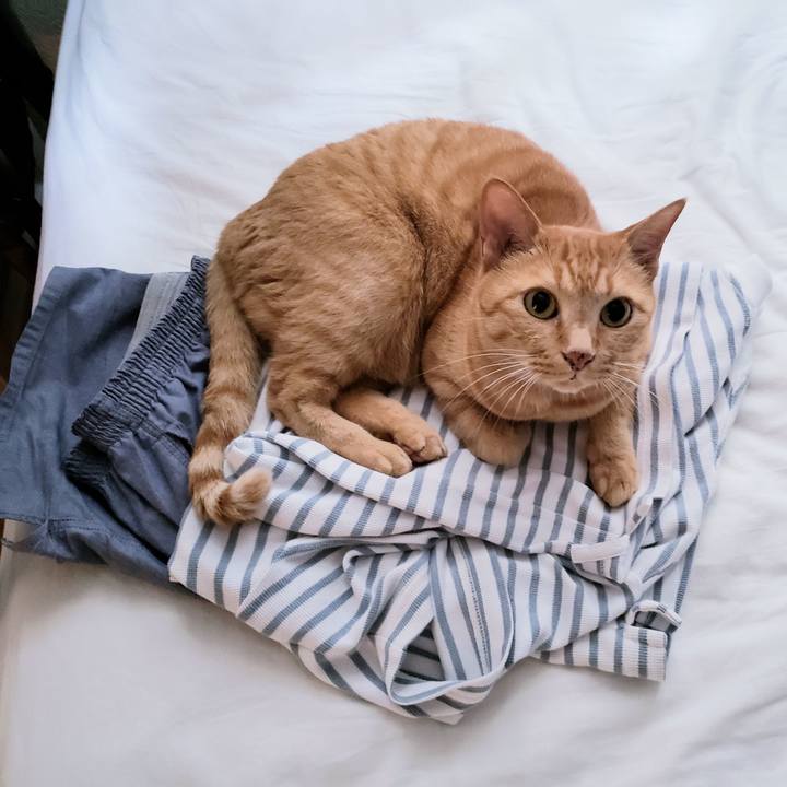 Df6c0a7f a824 4c09 99fe 4c97b2954306 1717379251445