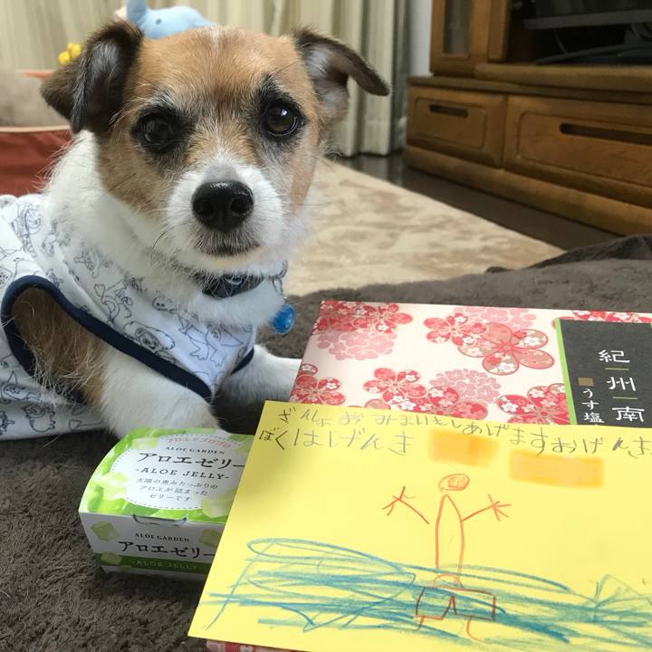 Df6c0adf 1016 4f33 978b c394920f1f58 1534477889873