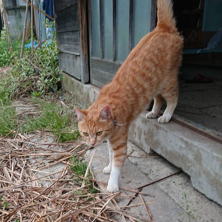 Df6c1b29 01d6 4188 9fc8 0a3d9dcd0b3d 1590400198421