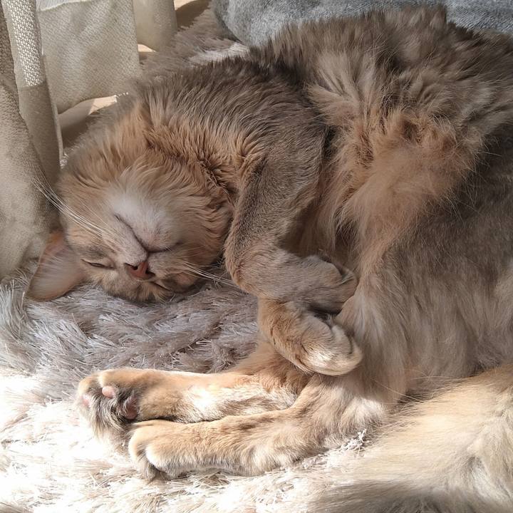 Df6c48ba a0be 426a a319 162d74d42253 1614487250744