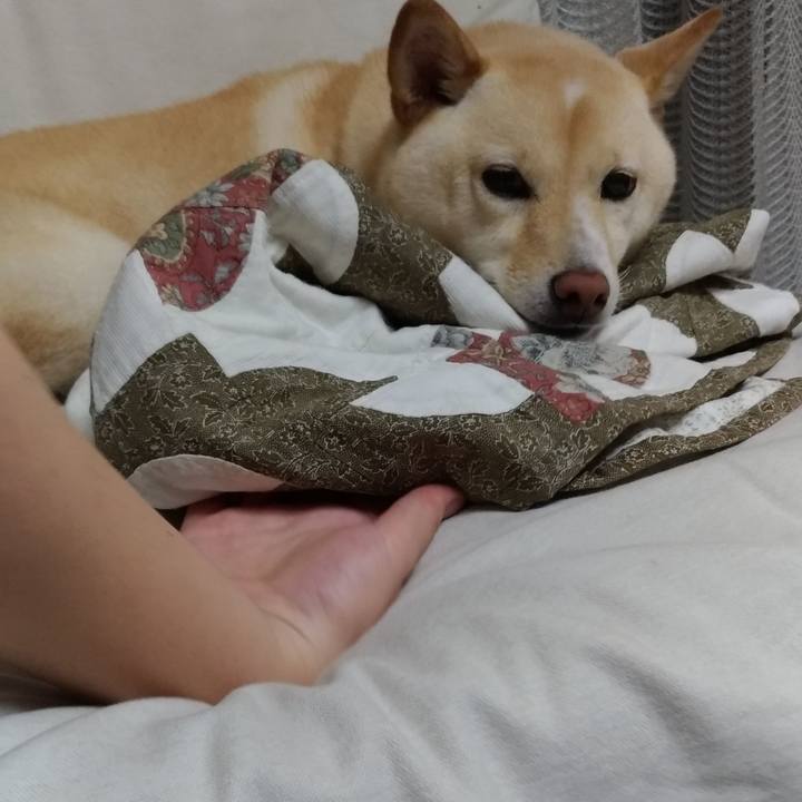 Df6c533c 808a 4374 a3e0 fce046c8b430 1600342592443