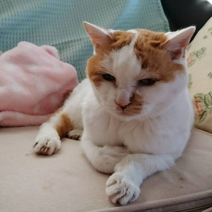 Df6ca226 7414 442d 9fe8 7819986cad45 1534721775211