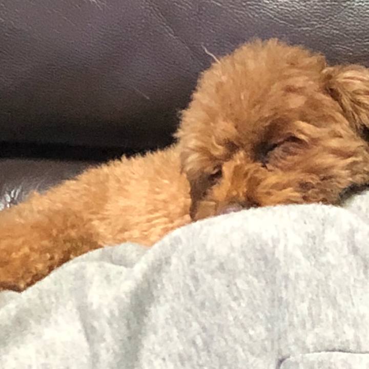 Df6cdfc7 ced8 4b33 989a 656be1ca496d 1550151926655