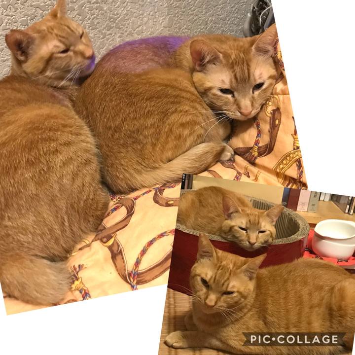 Df6cfd16 a5a3 4c10 9cbd ff8db63d2083 1590936250854