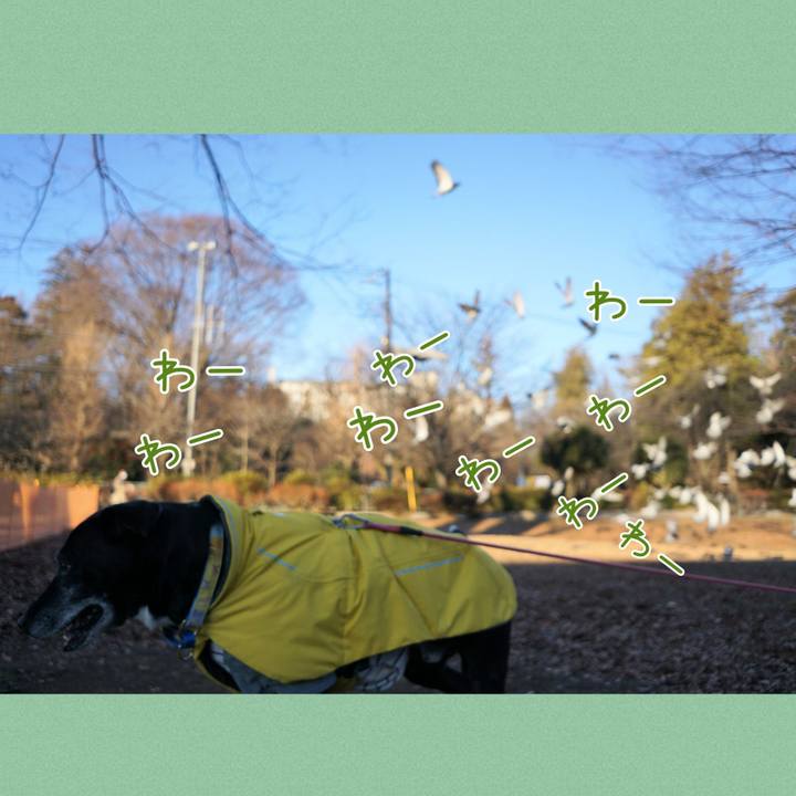 Df6cff67 4b8e 4ac8 9e7f 535b6c66a893 1768349816523