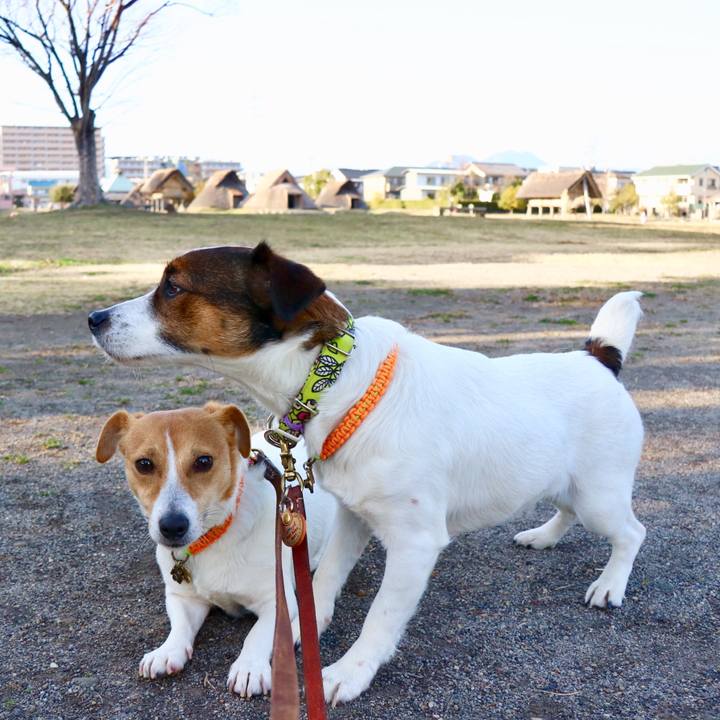 Df6d1517 821c 48a3 b15a c9ea5206323d 1550649615287