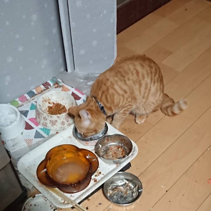 Df6d1ddc 5d7f 4a6c ba5b d429f344bcb5 1638653890349