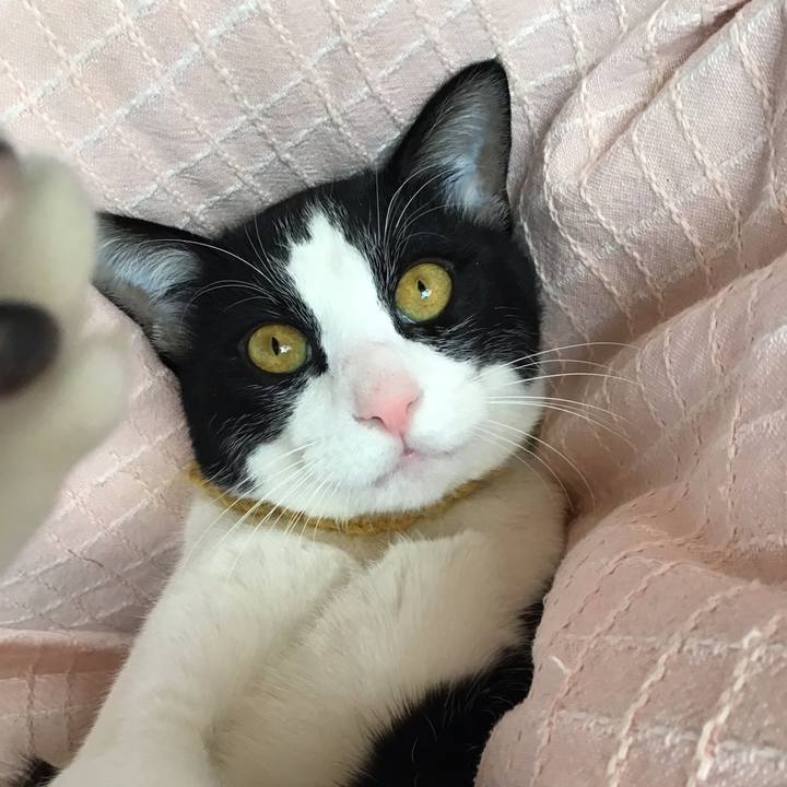 Df6d31ad 83fe 4c55 8d00 8c12a915b84b 1646529881274