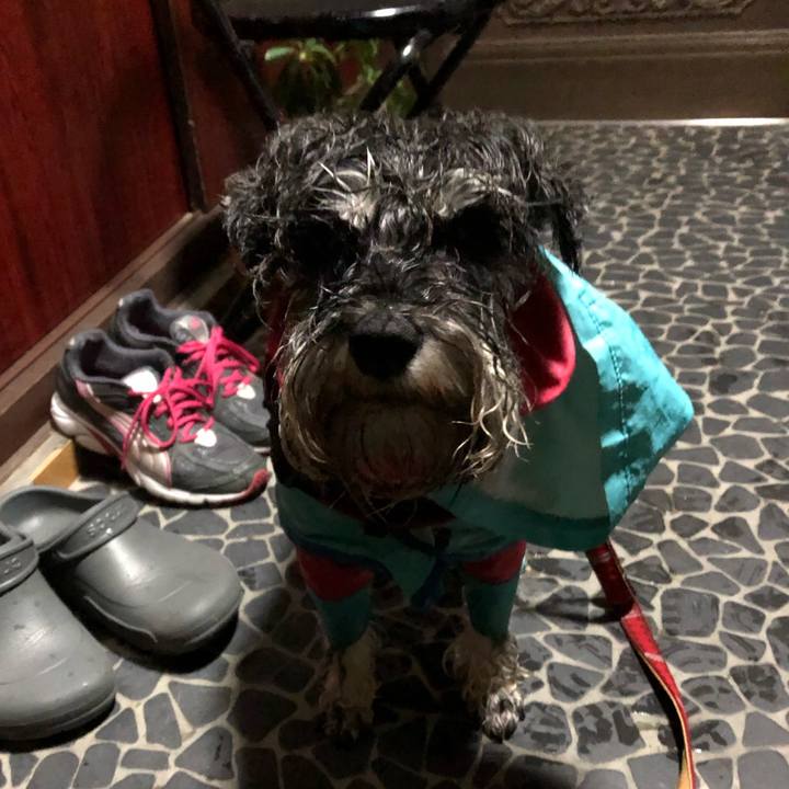 Df6d7a30 0eb3 46d3 aa99 78d54e5963e0 1581167397365