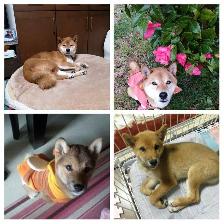 Df6d7b68 7516 48fe a5a7 f7ec949fe083 1583672299898