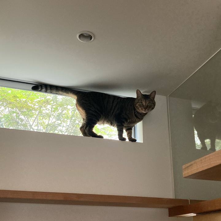 Df6d92d4 6828 4064 a09f 238cca041212 1727270178618