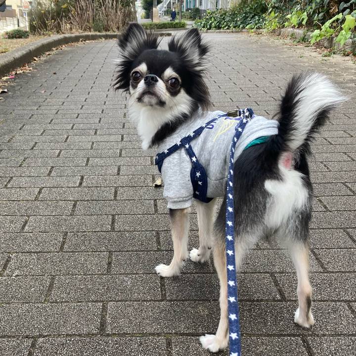 Df6d9f68 500e 45b9 b57d 1589f7762faa 1639281391848